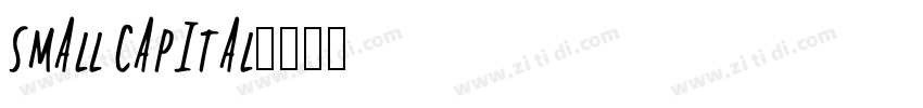 SMALL CAPITAL字体转换